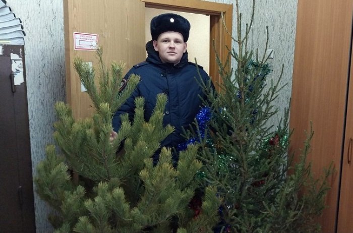 В Снежинске участковый задержал мужчин, укравших новогодние елки